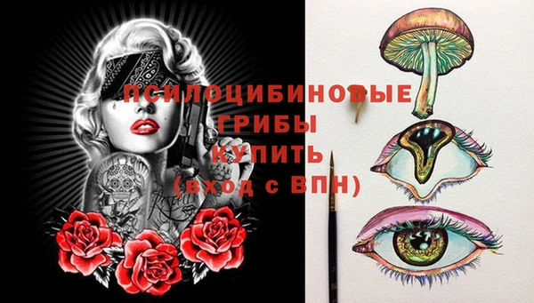 прущий лед Горно-Алтайск