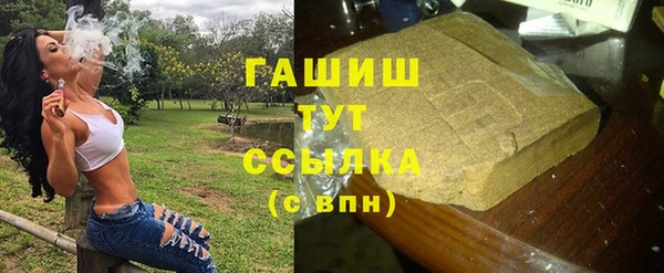 спиды Горняк