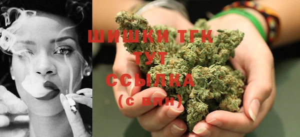 спиды Горняк