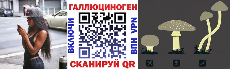 Псилоцибиновые грибы ЛСД закладка Дудинка