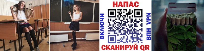 Конопля сатива Дудинка